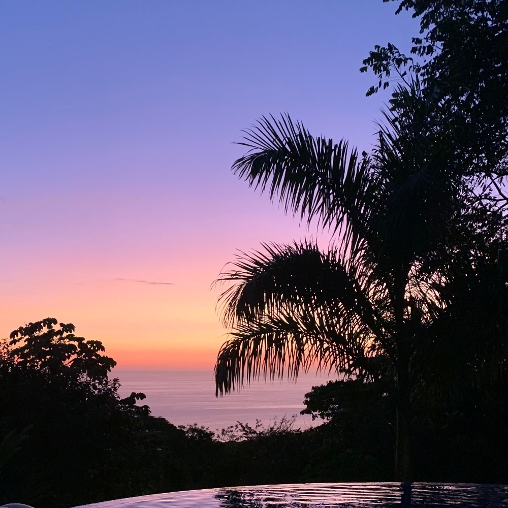 Meet your Posher, Ella